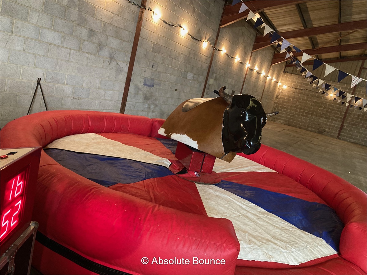 Rodeo Bull / Bucking Bronco - 3 hour Hire - Bouncy Castle Hire & Rodeo ...