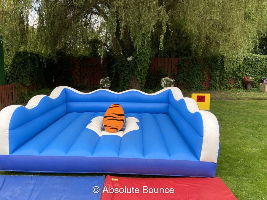 Surf Simulator - 3 Hour Hire - Bouncy Castle Hire & Rodeo bull hire in ...